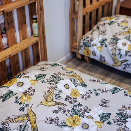 Gîte proche du canal du midi et Narbonne 2 chambres Mirepeisset Esterno foto